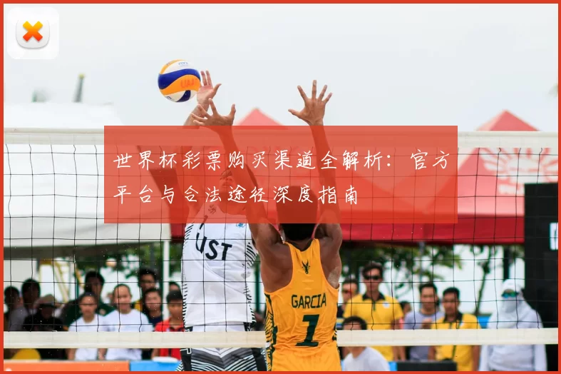 世界杯彩票购买渠道全解析：官方平台与合法途径深度指南
