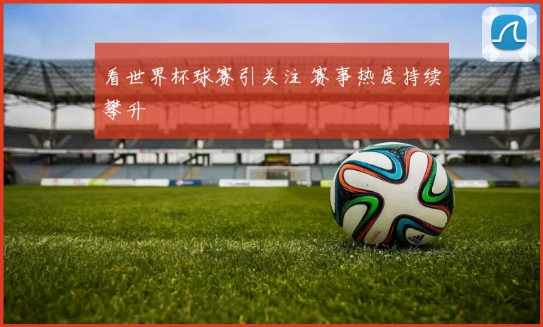 看世界杯球赛引关注 赛事热度持续攀升