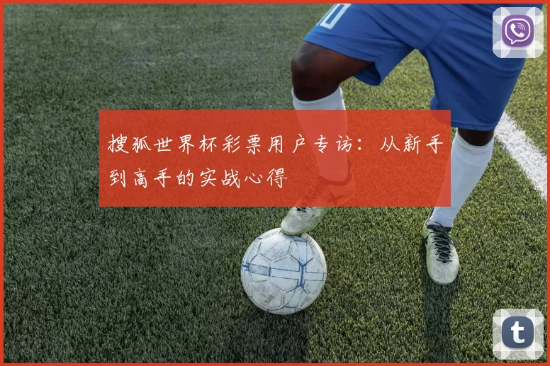 搜狐世界杯彩票用户专访:从新手到高手的实战心得